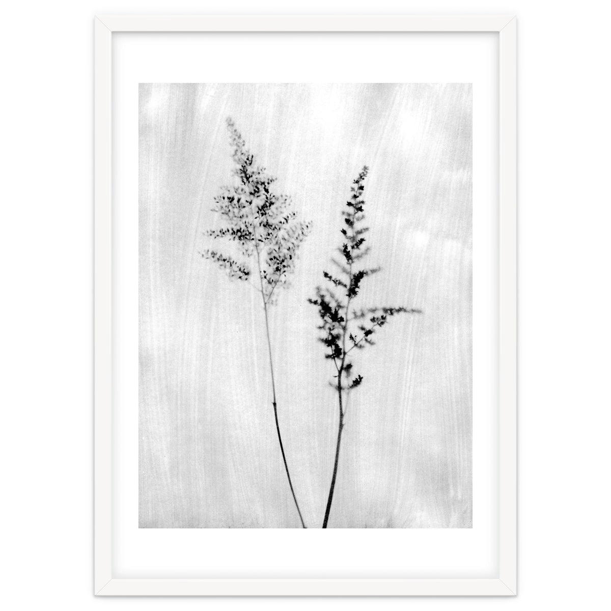 Delicate Wildflowers