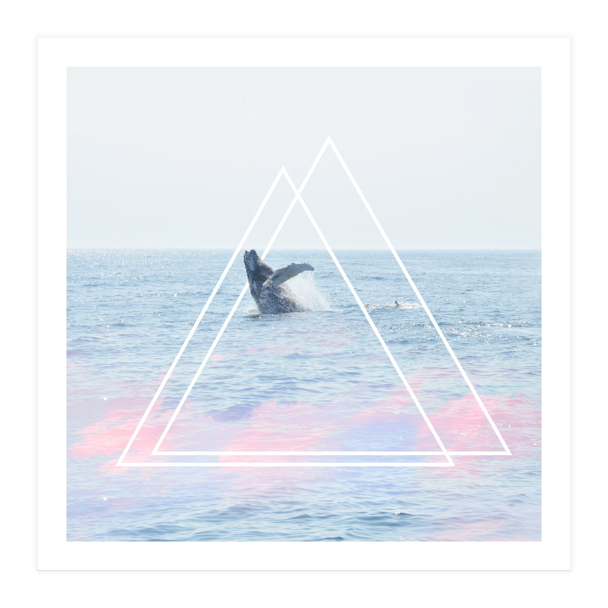 Whale of a Time (Print Only)