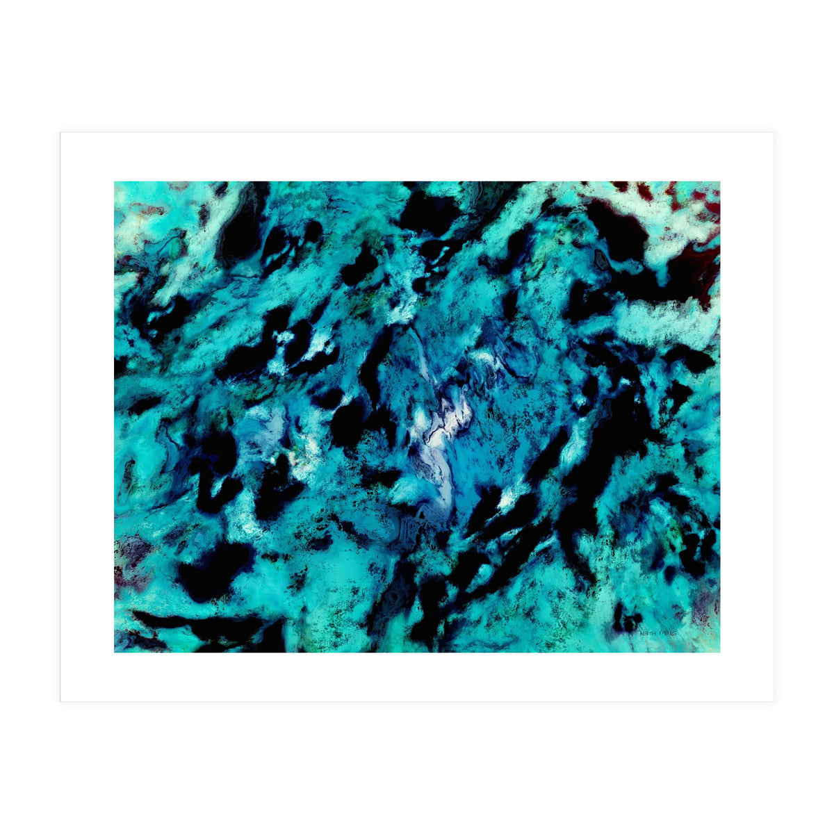 Distinguishing Marks (Print Only)