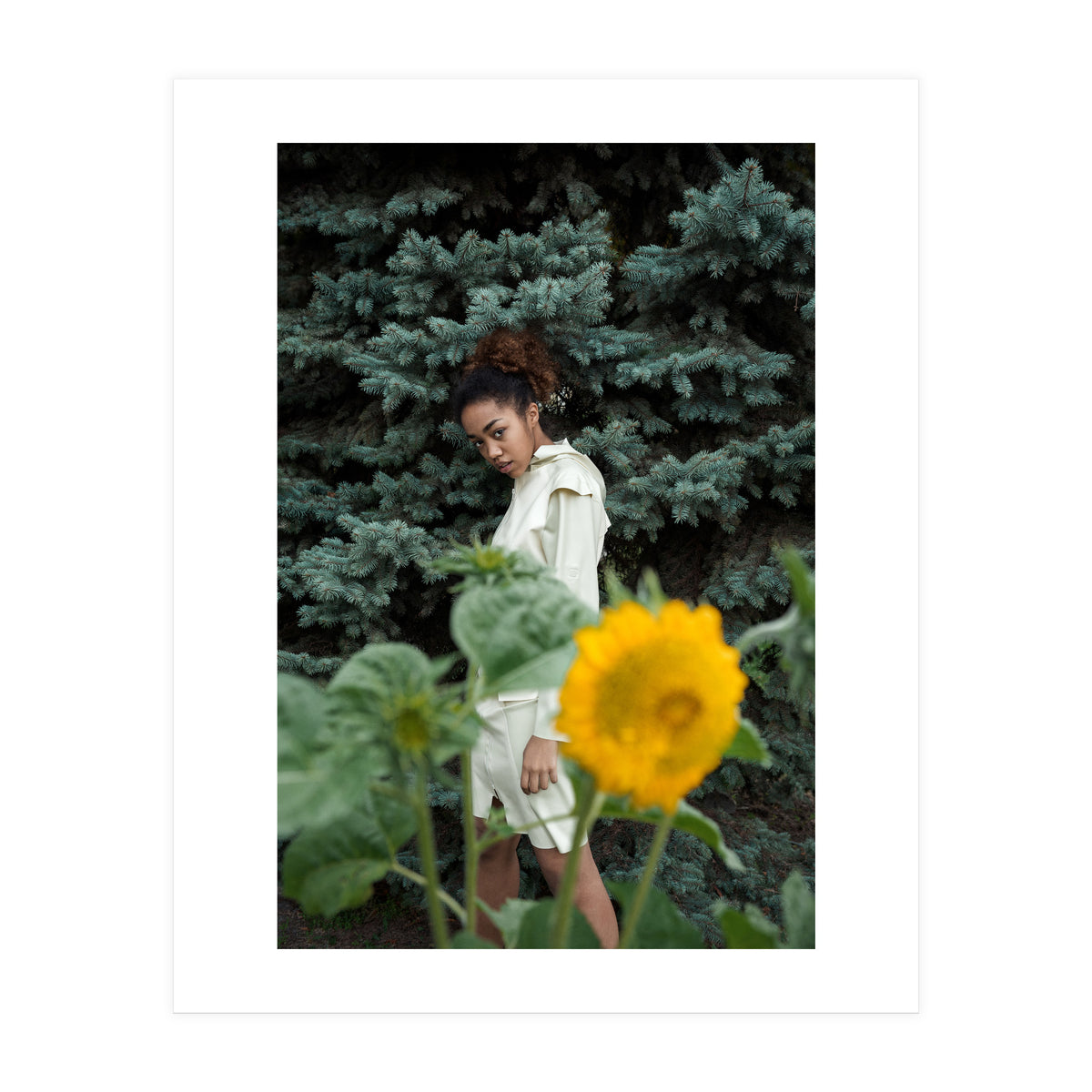 Northern Comfort (Print Only)