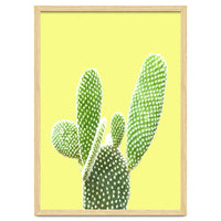Cactus Yellow Background