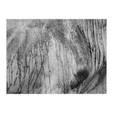 Abstract #2 (Print Only) thumbnail