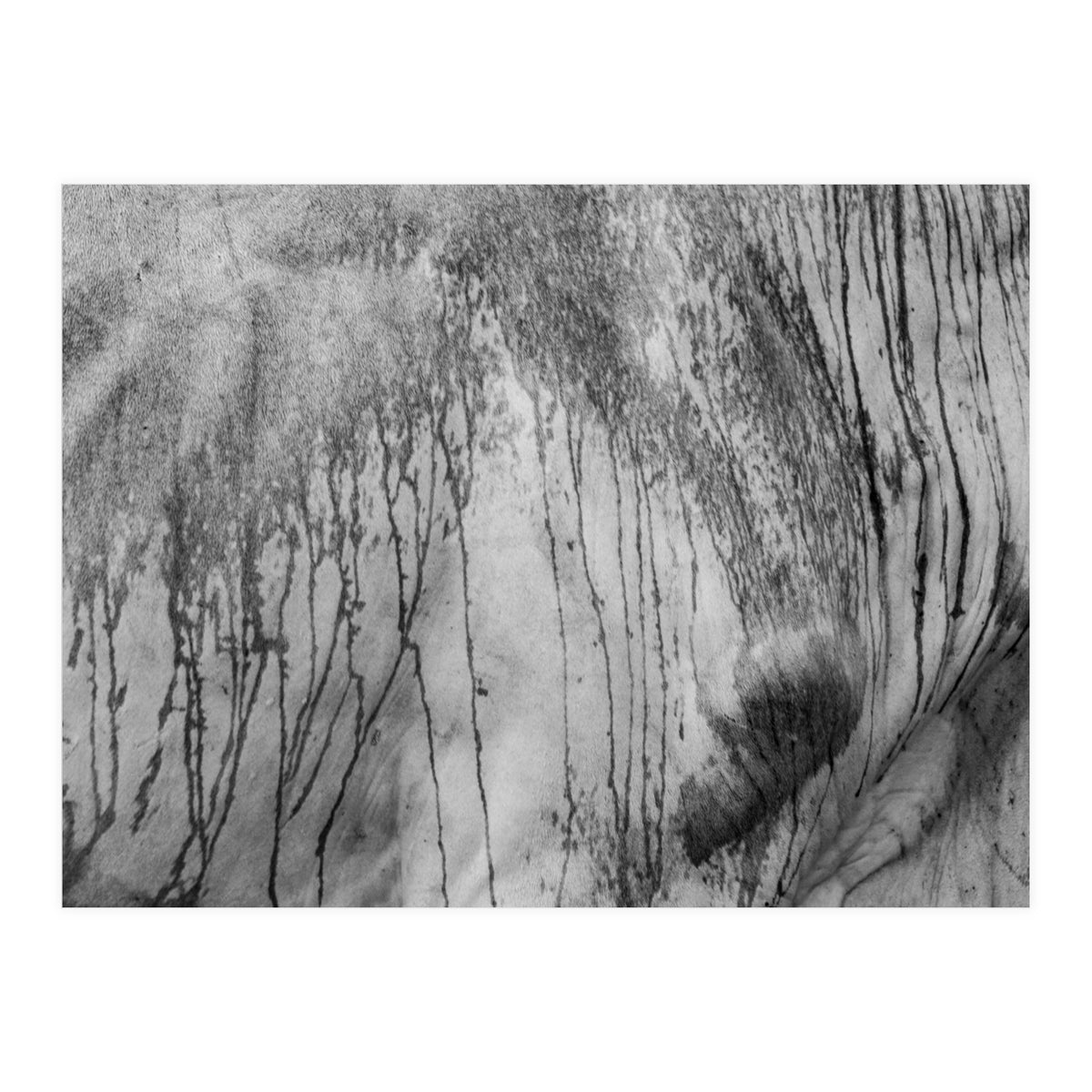 Abstract #2 (Print Only)