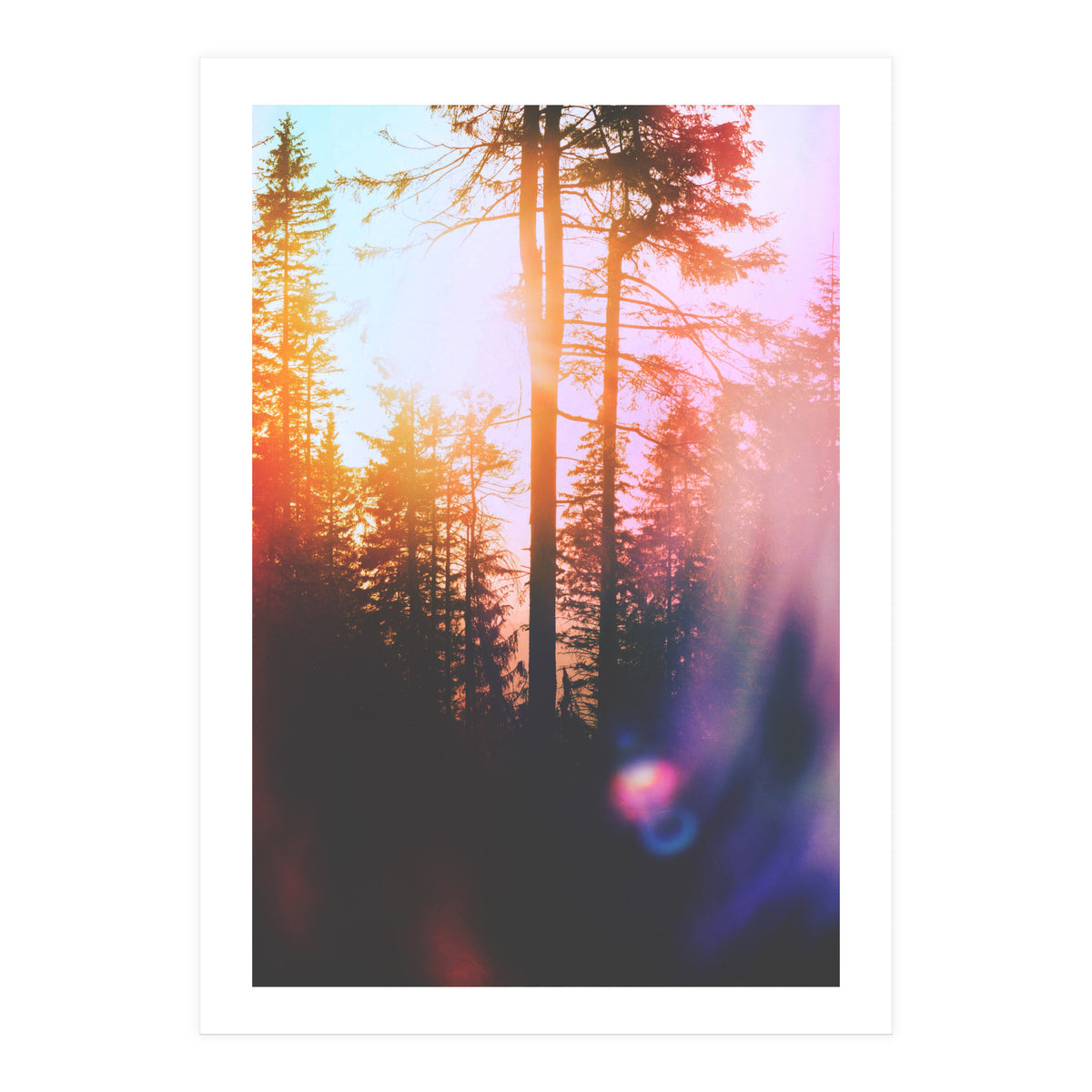 Finding Light (Print Only)