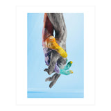 Environmental Issues Hi Res (Print Only) thumbnail