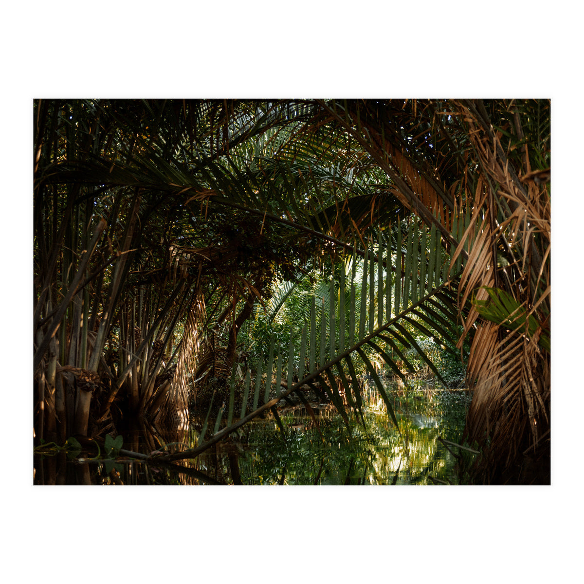 Exploring Vietnam (Print Only)