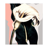 Calla lily flower (Print Only) thumbnail