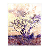 Lonely Tree II (Print Only) thumbnail
