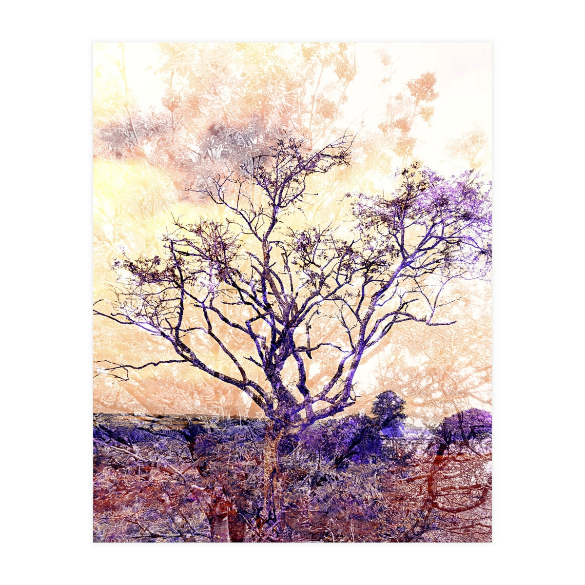 Lonely Tree II (Print Only)