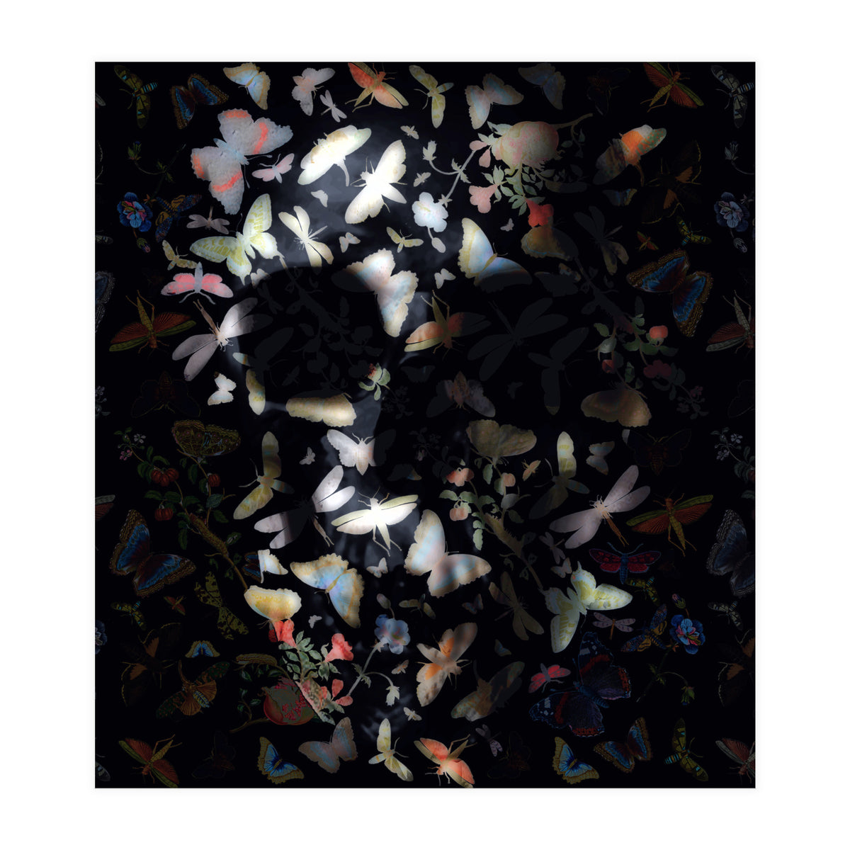 Butterfly Skull (Print Only)