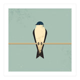 Swallow (Print Only) thumbnail