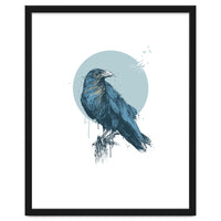 Blue Crow
