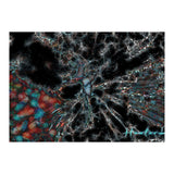 Torn Apart (Print Only) thumbnail