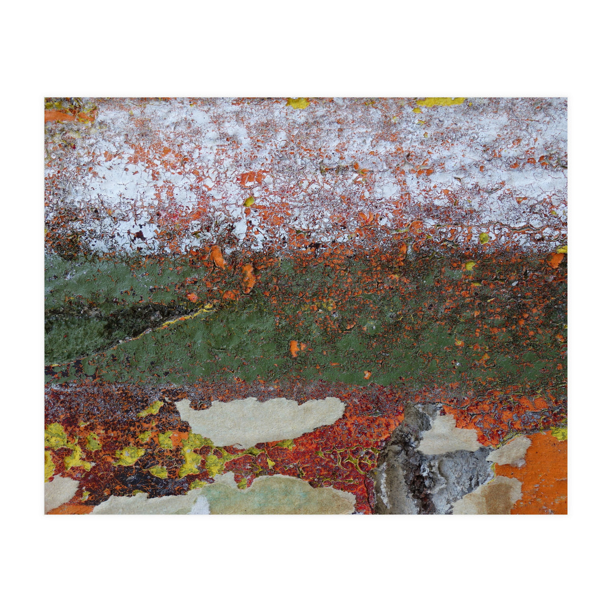 North South (Print Only)