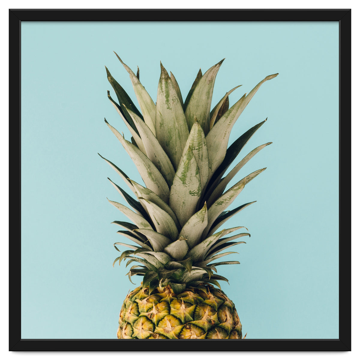 Pineapple On Blue Background