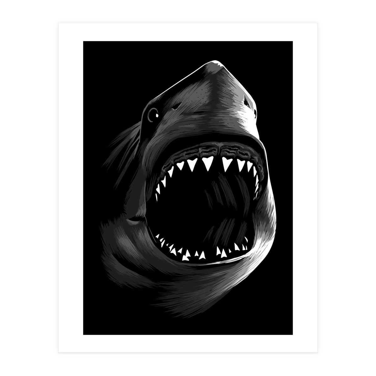 Megalodon (Print Only)