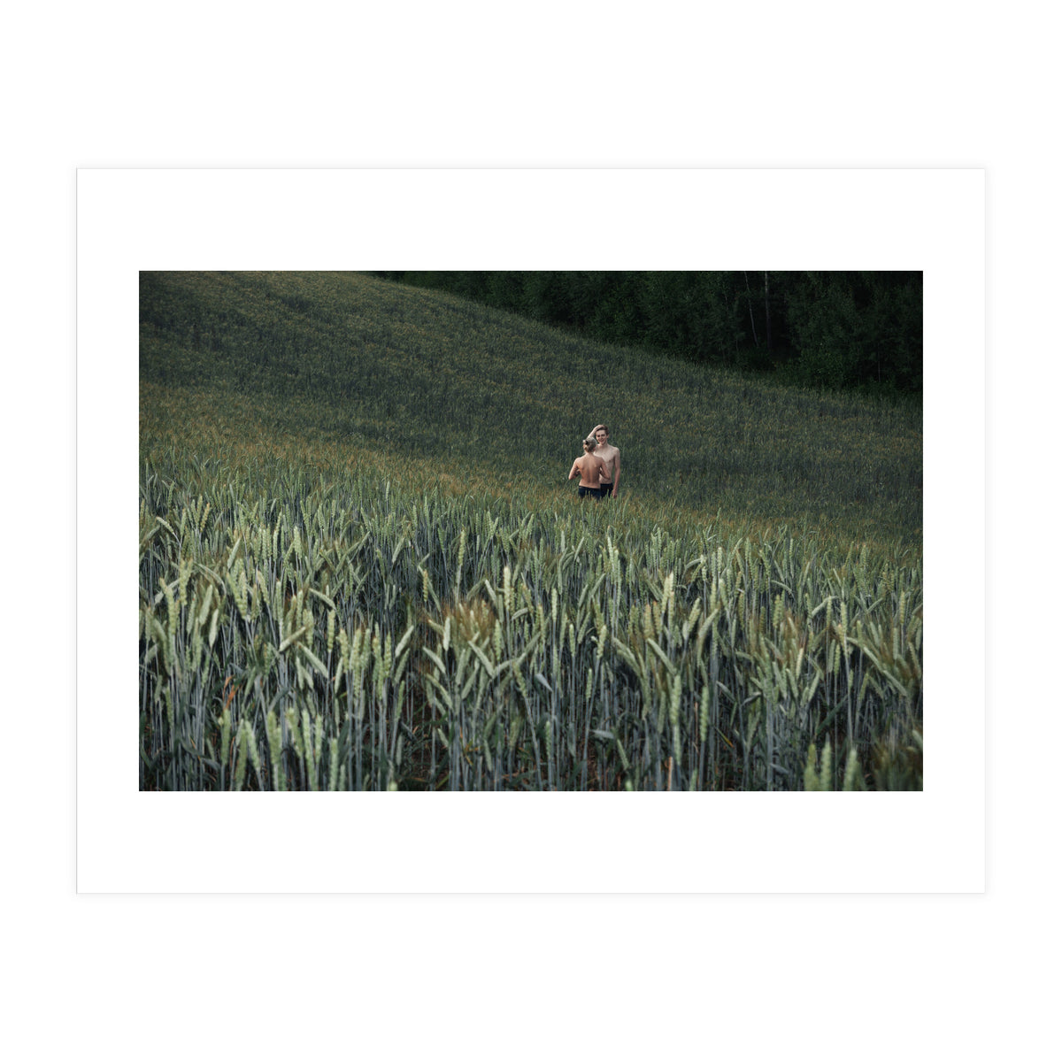 Logical Fallacy (Print Only)