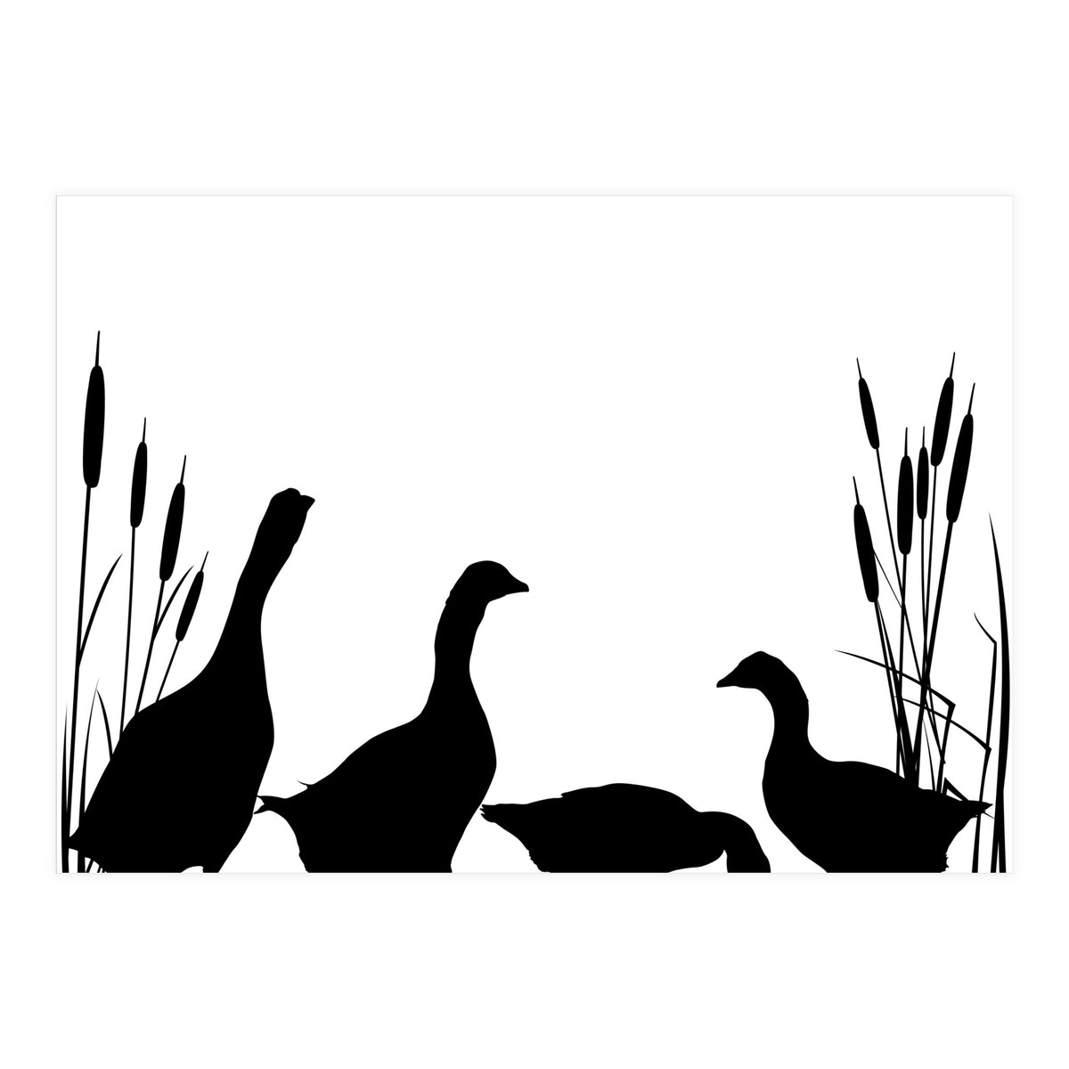 Goose talk (Print Only)