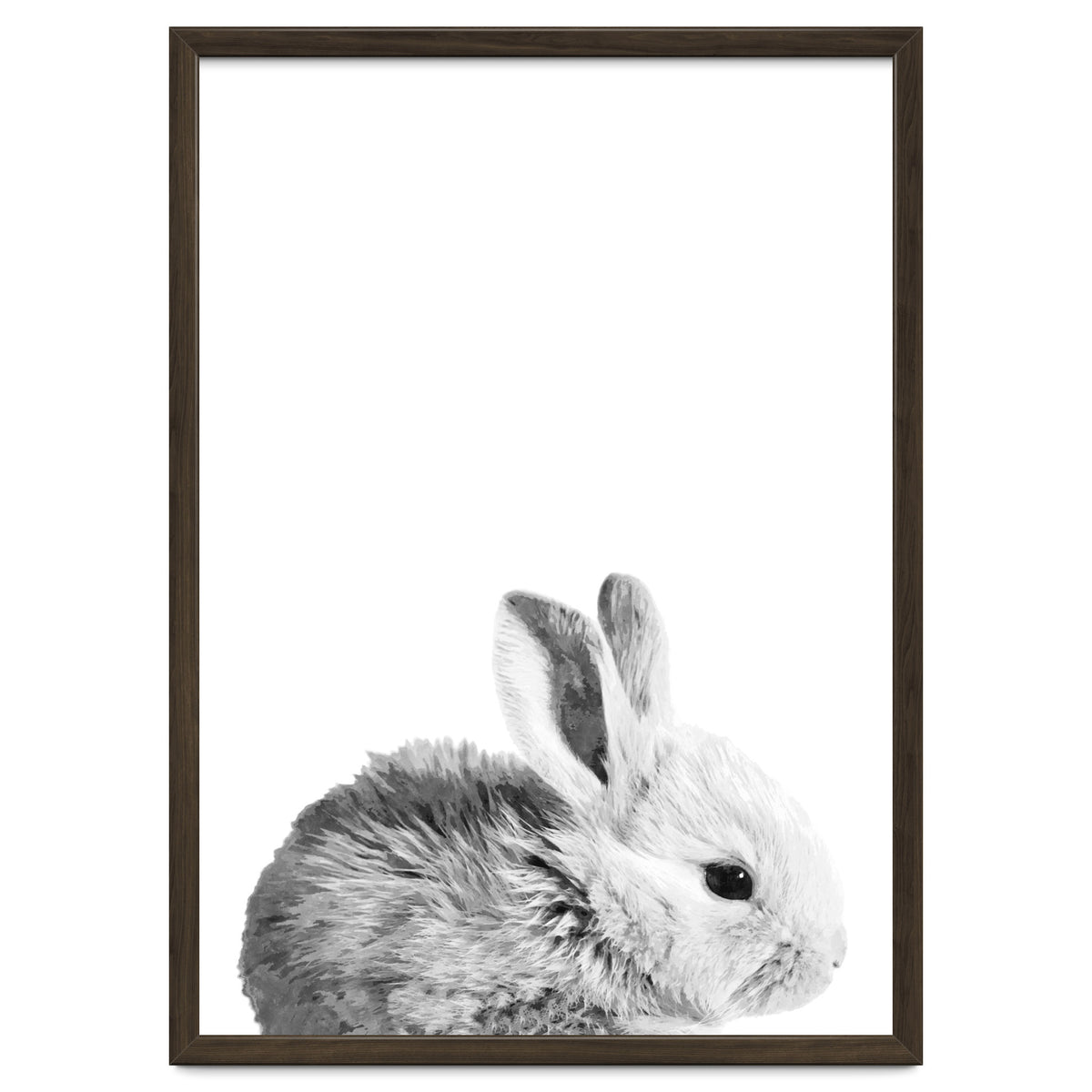 Black and White Bunny Portrait