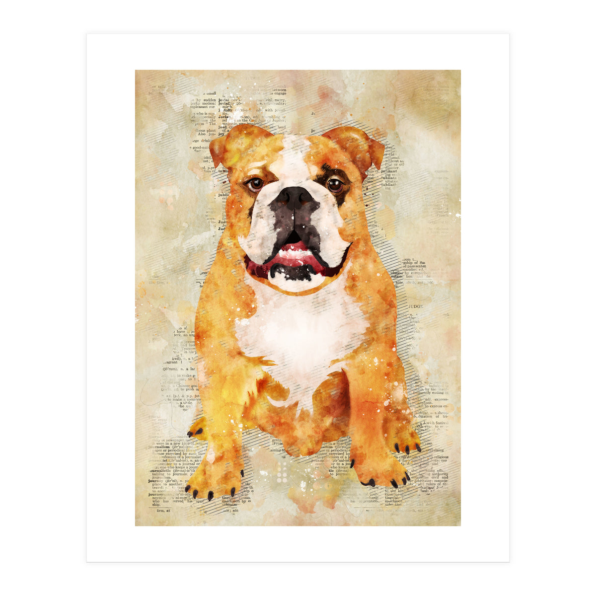 Boxer Dog (Print Only)