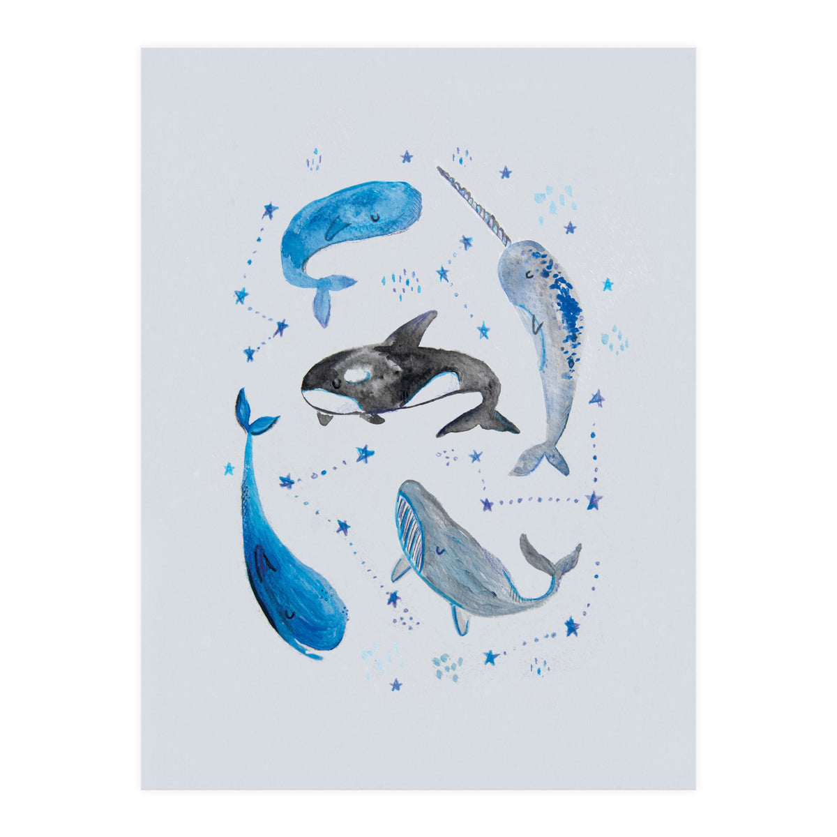 Whales (Print Only)
