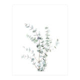 Eucalyptus Branch (Print Only) thumbnail