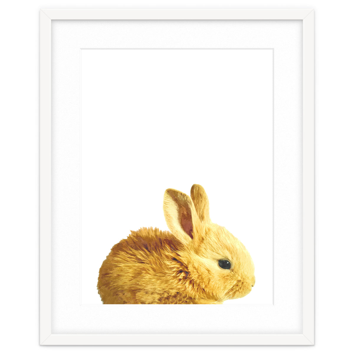 Bunny Portrait