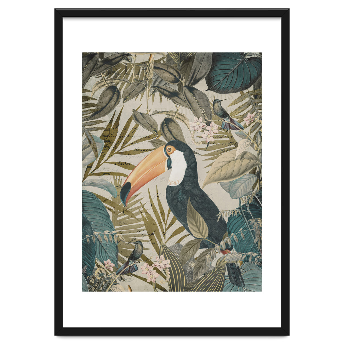 Jungle Toucan