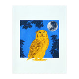 Golden Eyes (Print Only) thumbnail