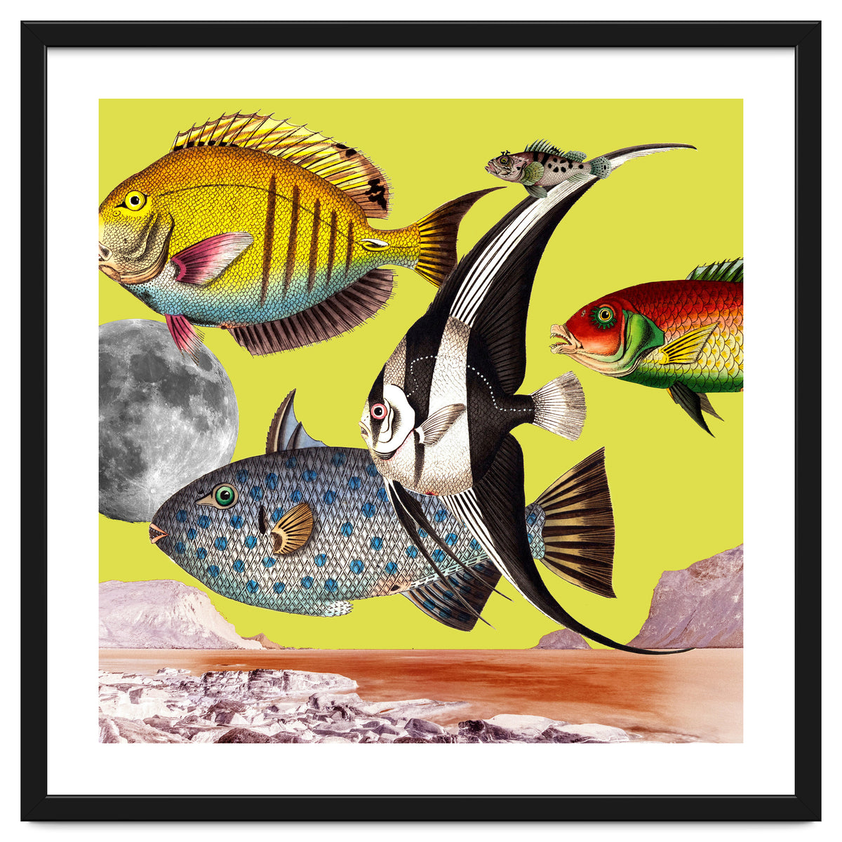 Plenty Of Fish In The Sea Yellow