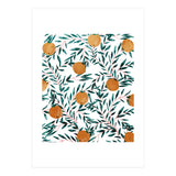 Mandarins (Print Only) thumbnail