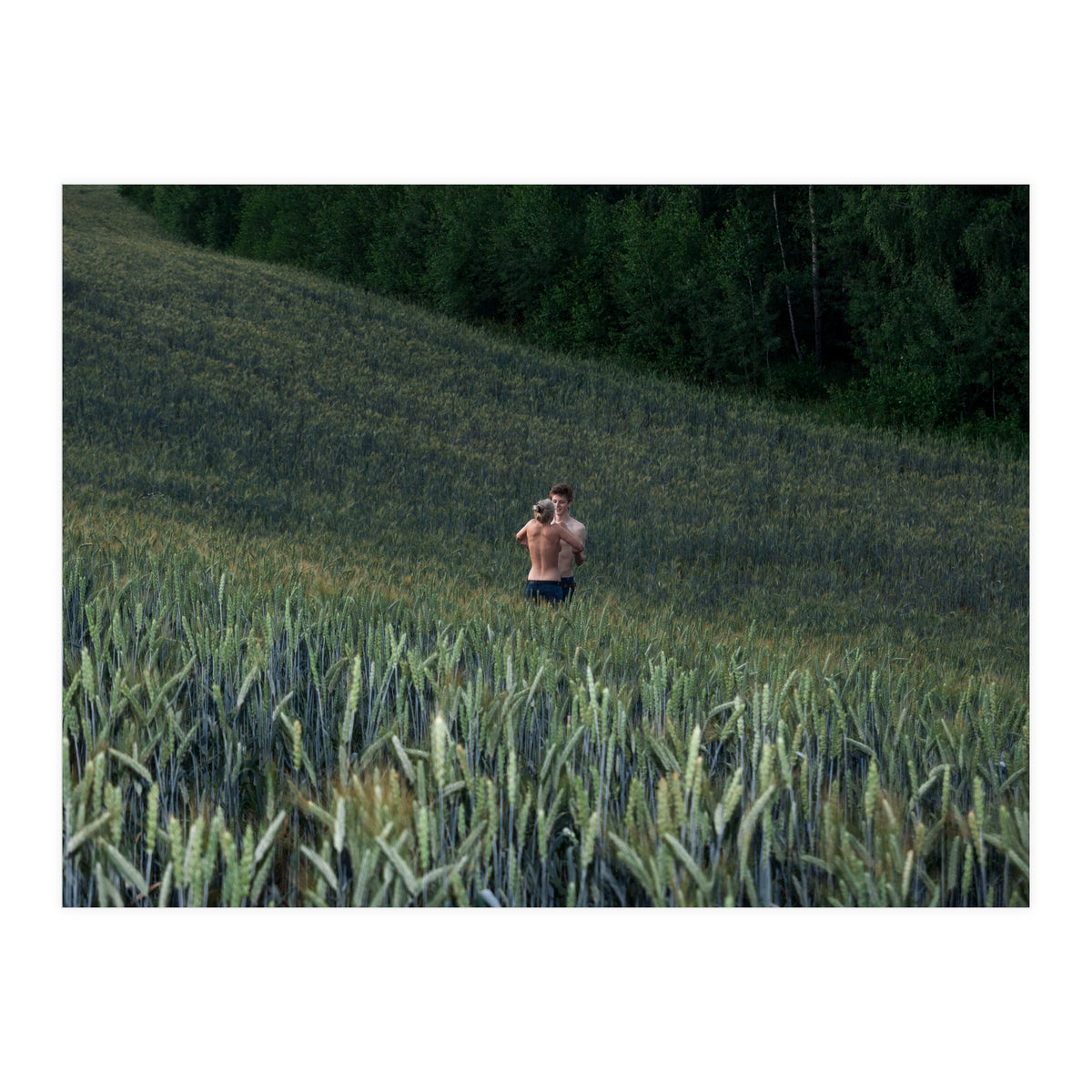 The kids Are all Wild (Print Only)