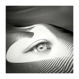 Untrue (Print Only) thumbnail