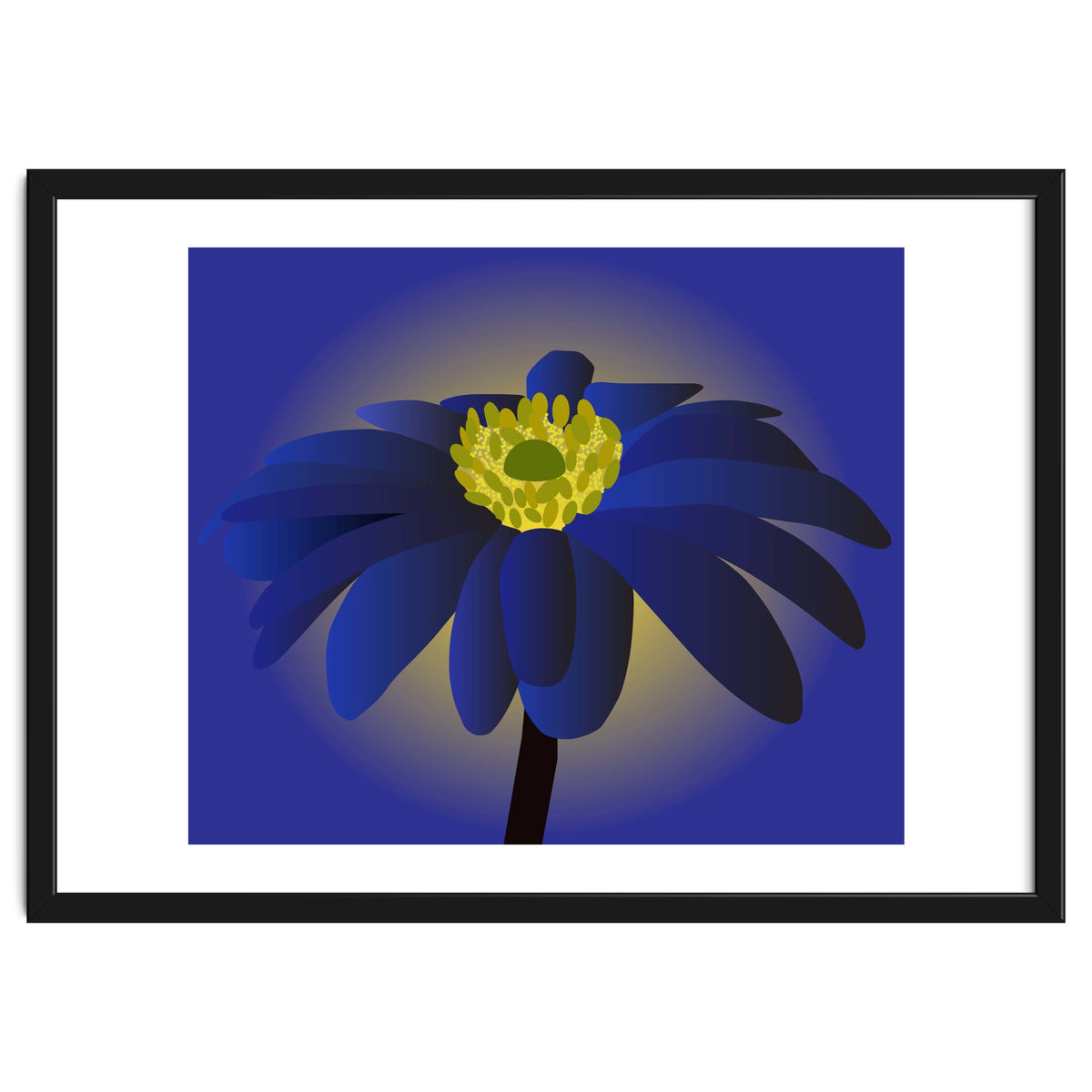 Anemone Blanda Flower Art