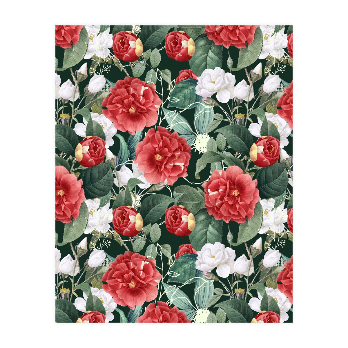 Botanical Wonder (Print Only)