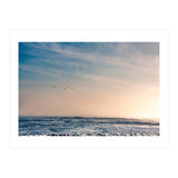 Pelican Sunset (Print Only) thumbnail