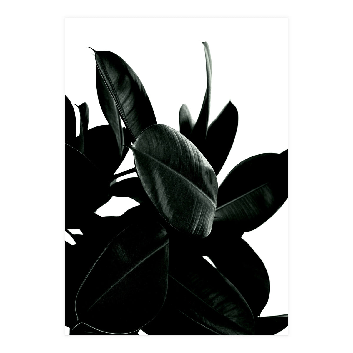 Dark Tree (Print Only)