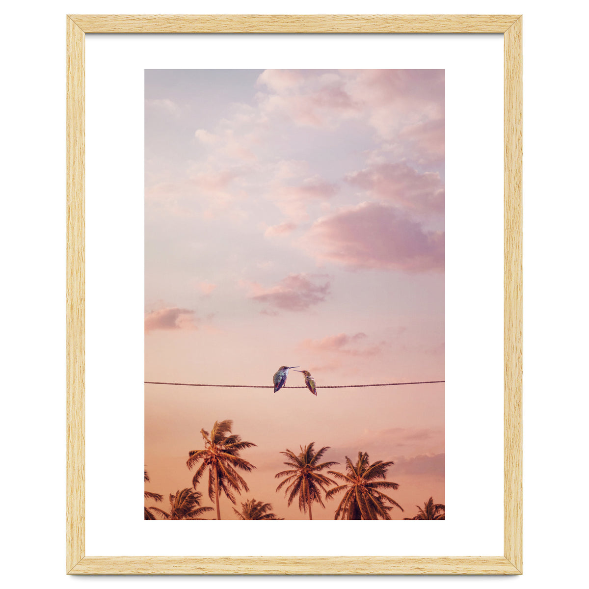 Hummingbirds In Love