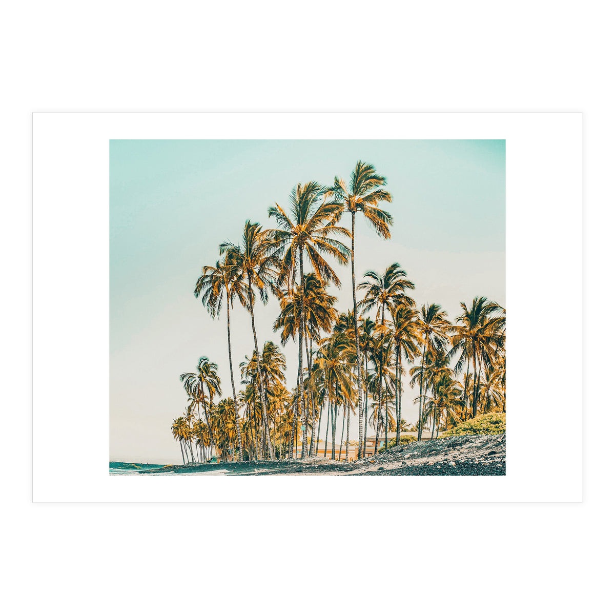 Island Life III (Print Only)