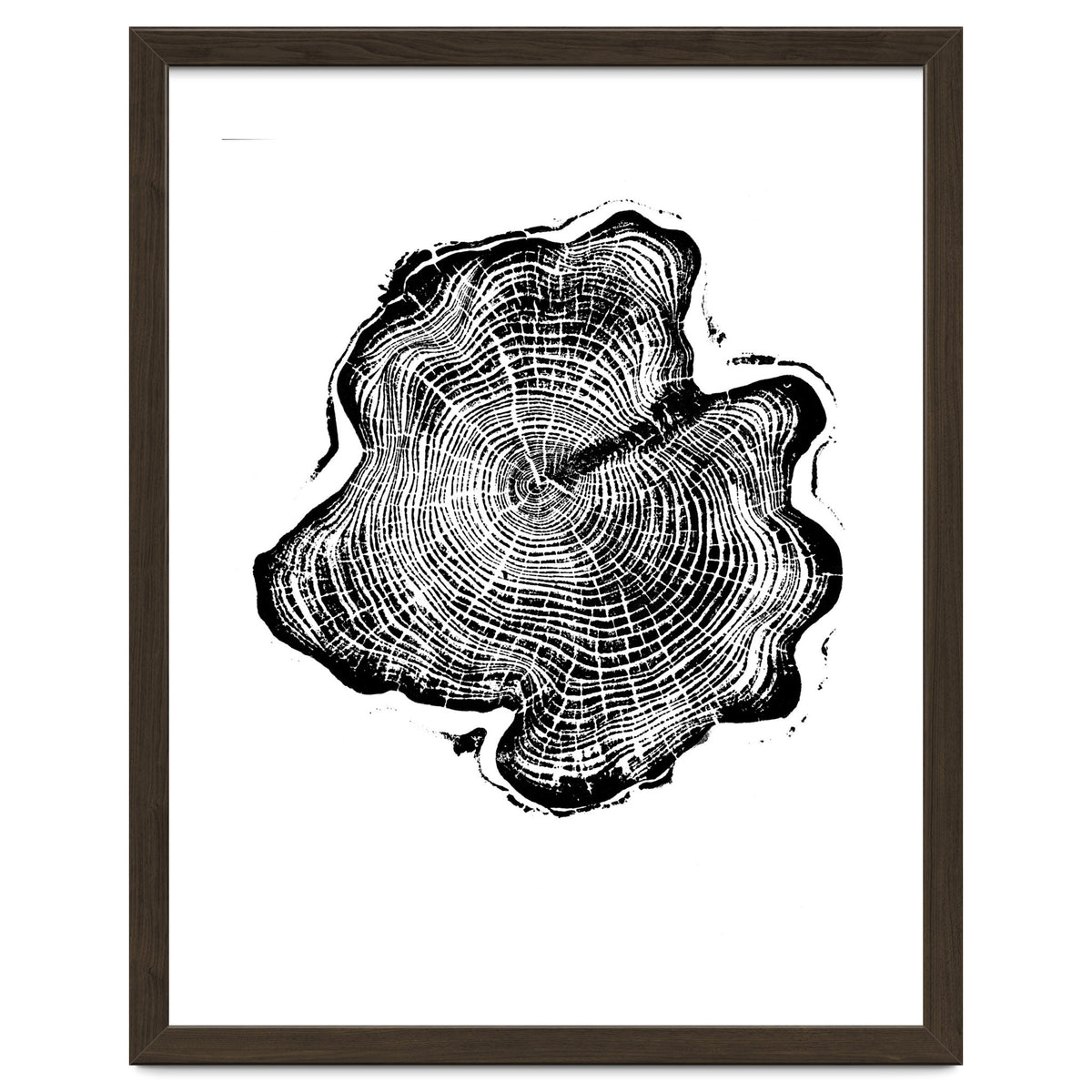Alaskan Cypress, Tree Ring Art Print, Woodblock