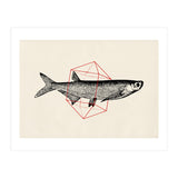 Fish In Geometrics II (Print Only) thumbnail