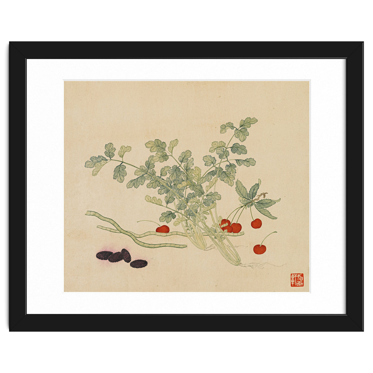 Wang Chengyu~flowers And Vegetables, Vegetables, Fruits, Beans, Red Beans, Cherries, Celery