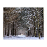 Dog Walkers in the Snow.  Heath Warren - Hampshire (Print Only) thumbnail