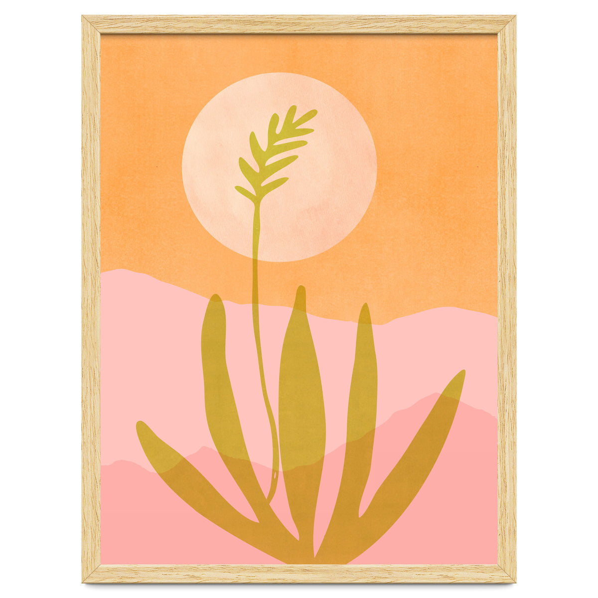 Desert Moon With Agave