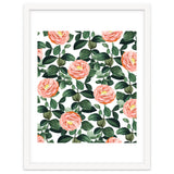 Josephine | Vintage Rose Garden Illustration | Bohemian Botanical Floral House Plants thumbnail