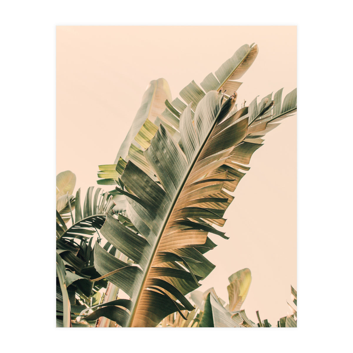 Growing Green Alicia Bock (Print Only)