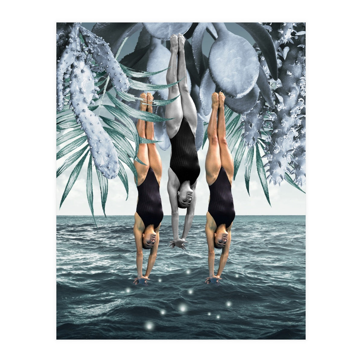 Dive Into (Print Only)