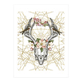 Boho Skull (Print Only) thumbnail