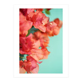Bright Star #1  (Print Only) thumbnail