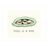 Pugs In A Pod (Print Only) thumbnail
